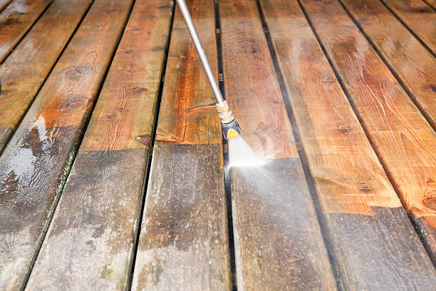 Animal Enclosure Cleaning in Marshall, IL